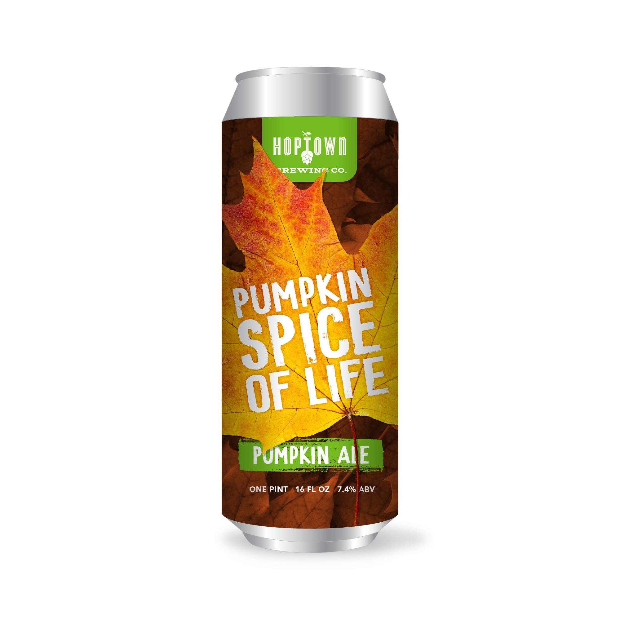 Pumpkin Spice of Life Pumpkin Ale